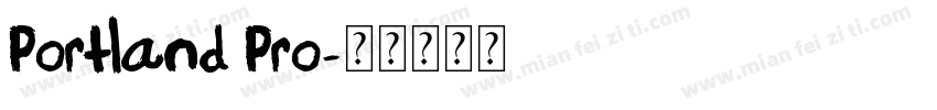Portland Pro字体转换